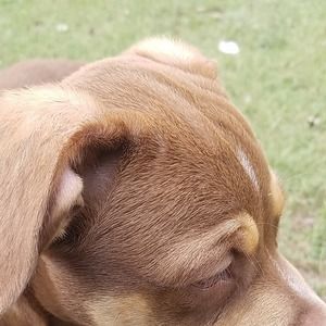 Meet your Posher, Alana